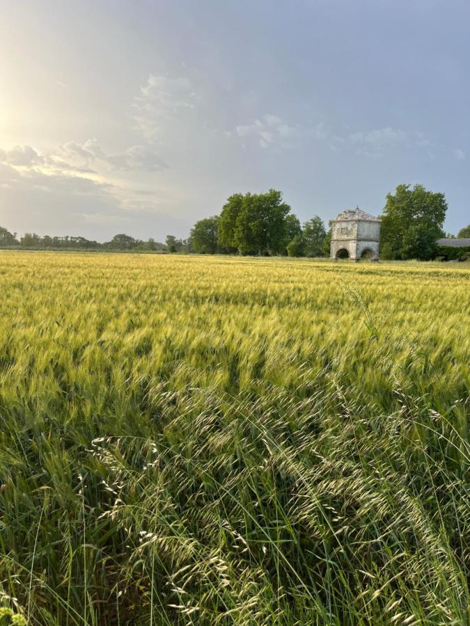 Suite A La Villa Cattus Bram Kültér fotó